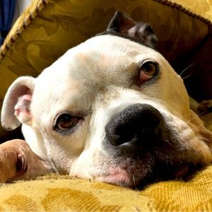 Meet your Posher, Matthew